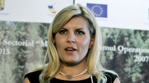 Udrea: Nu cred că votanţii lui Antonescu vor alege să voteze un candidat susţinut de Iliescu, Hrebenciuc şi Vanghelie