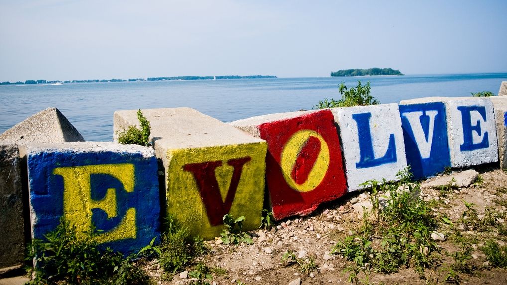 Viitorul evoluţiei umane: ingineria genetică şi colonizarea altor planete vor tria cele mai bune exemplare