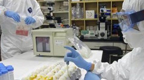 Un prim caz de mutaţie a virusului gripei porcine, identificat în Italia