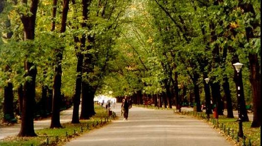 Proiectul pentru extinderea parcului Herăstrău a fost respins de consilierii Capitalei