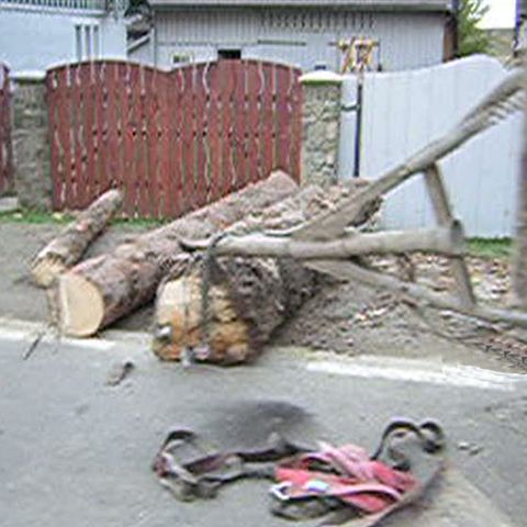 Un camion plin de buşteni s-a răsturnat lângă Rădăuţi