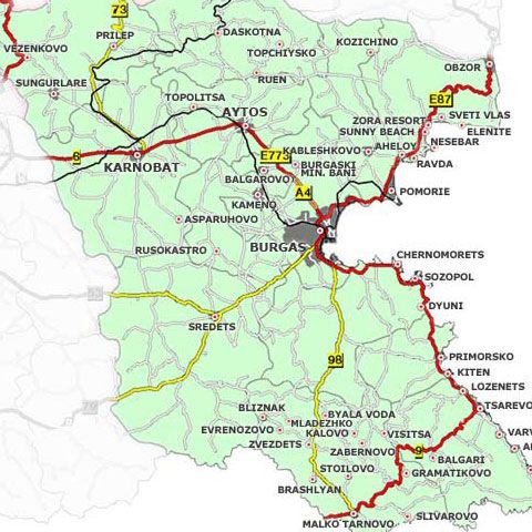 Regiunea Burgas din sud-estul Bulgariei a decretat epidemie de gripă porcină