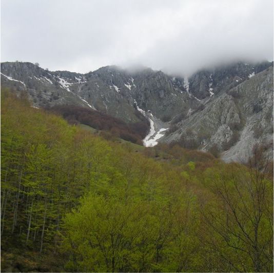 Agent Green susţine că DN 66A a primit acord ilegal de la Administraţia Parcului Domogled