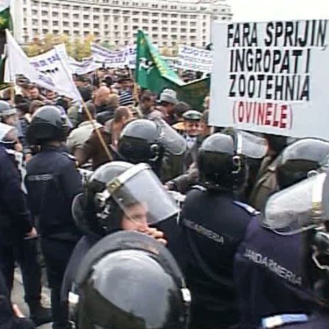 3.000 de fermieri ar putea protesta în Capitală