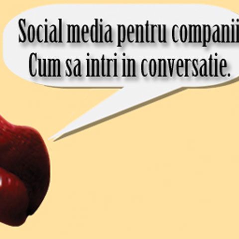 Social media pentru companii. Cum să intri în conversaţie