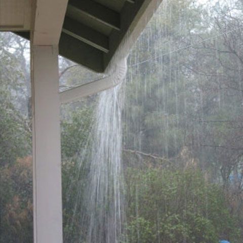 Apa de ploaie este foarte sănătoasă pentru organism