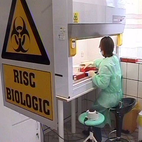 Niciun bolnav de gripă porcină din România nu primeşte tratament în spital, potrivit MS