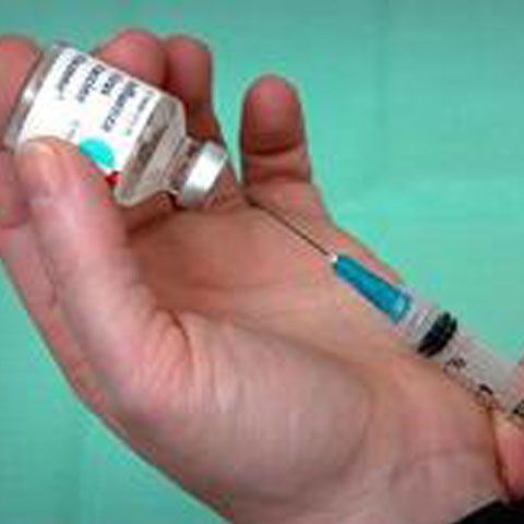 Încă trei districte bulgare au declarat epidemie de gripă porcină