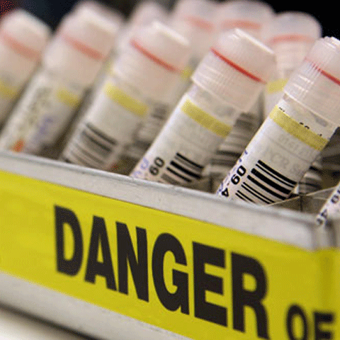 797 de îmbolnăviri cu gripă porcină în România, dintre care 353 sub tratament