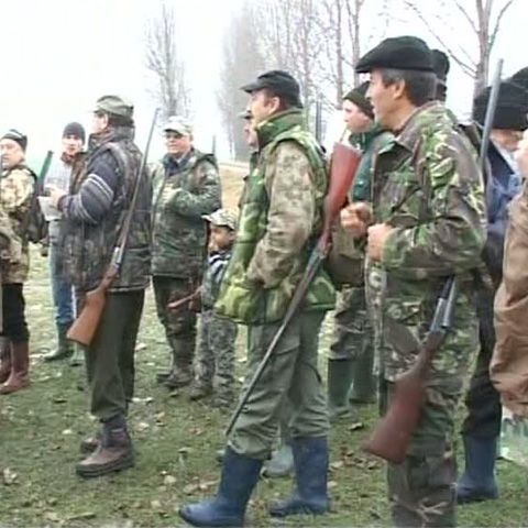 S-a deschis sezonul de vânătoare la iepurii de câmp