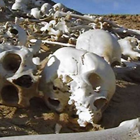 A fost descoperită o armată persană dispărută în urmă cu aproape 3000 de ani