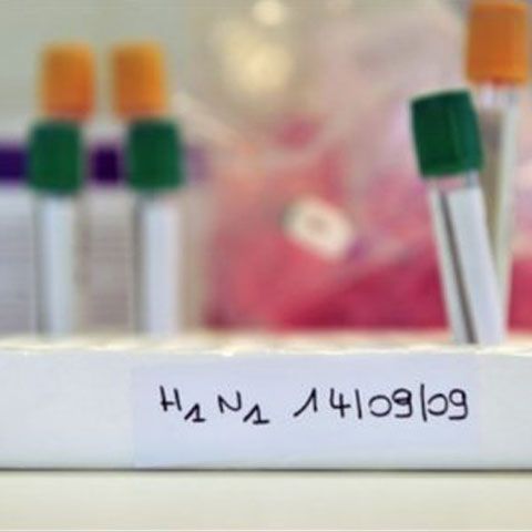 Primul român care a murit din cauza gripei porcine era muncitor în Austria