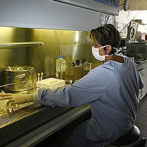 OMS le cere medicilor să administreze rapid antivirale pacienţilor din grupele de risc