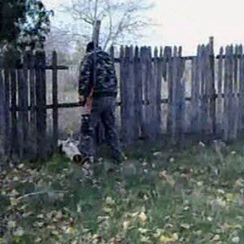 Caz şocant de maltratare a unui câine: Un asistent veterinar a lovit patrupedul cu patul puştii până l-a omorât, în faţa unor copii