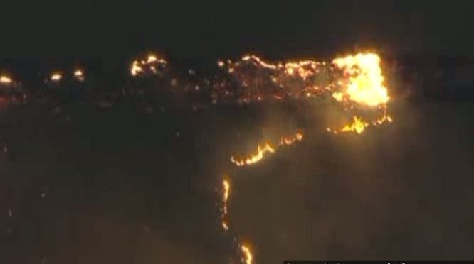 Un incendiu de vegetaţie a izbucnit la sud de Los Angeles