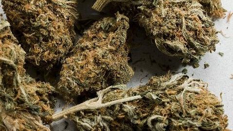 Un olandez a fost prins în timp ce încerca să vândă marijuana şi ecstasy, la Piteşti