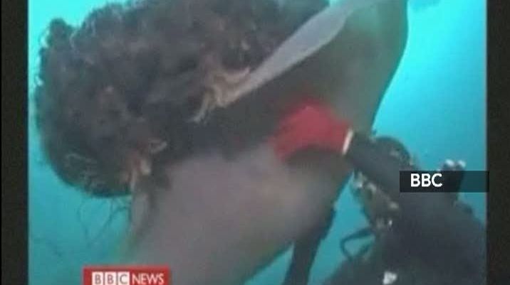 Meduze de mărimea unui adult au invadat apele Japoniei - VEZI FOTO