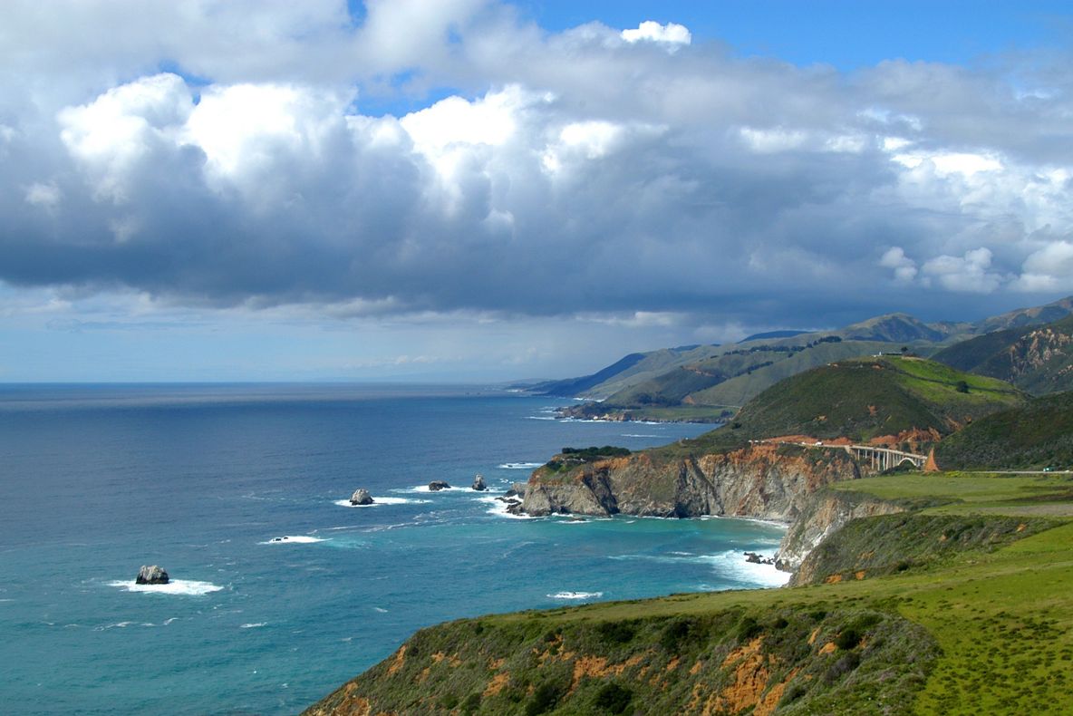 Zooplanctonul marin va fi inventariat de oamenii de ştiinţă