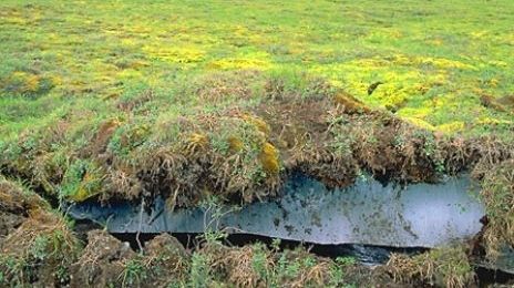 Topirea permafrostului ameninţă industria gazo-petrolieră rusă, avertizează Greenpeace 