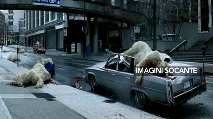 A început să plouă cu... urşi polari - IMAGINI ŞOCANTE