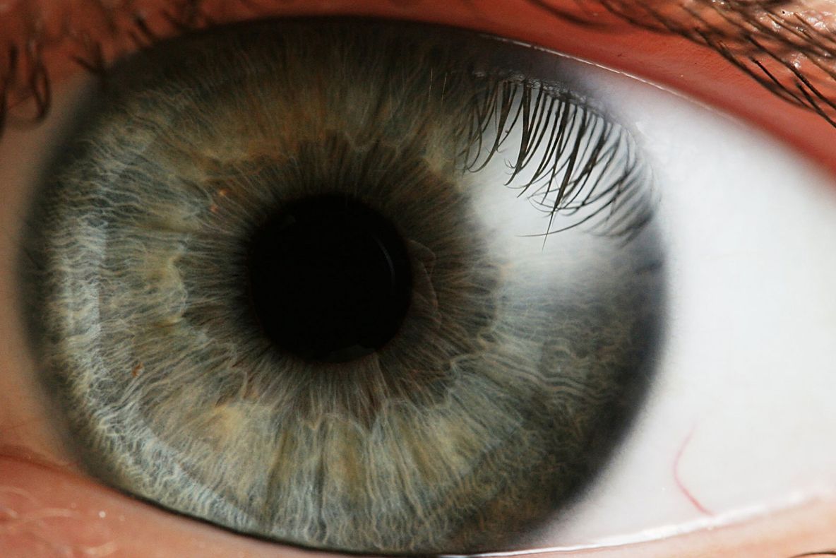 Designul inteligent la 150 de ani după \"Origin of Species\"