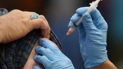 La Bistriţa a început vaccinarea contra gripei porcine
