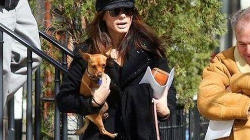 TOP 10 celebrităţi posesoare de câini