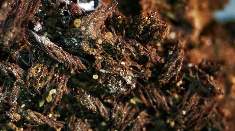 Un giulgiu descoperit lângă Ierusalim dovedeşte că Giugiul din Torino este fals