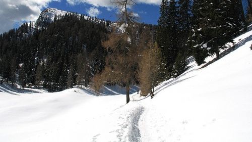 Şapte persoane au fost ucise de avalanşe în Alpii italieni 