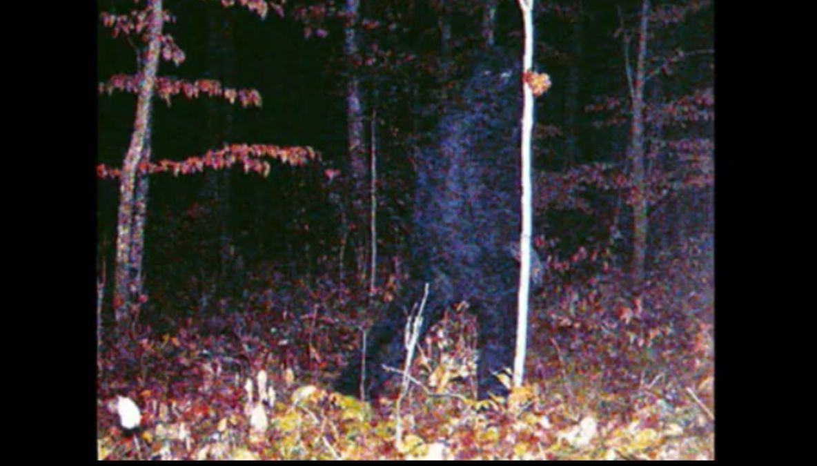 Bigfoot - fotografiat în Minnesota. VEZI FOTO