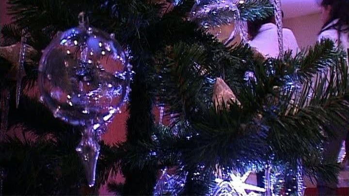 Brazi de Crăciun de peste 270.000 de euro, vânduţi la o licitaţie cu scop caritabil