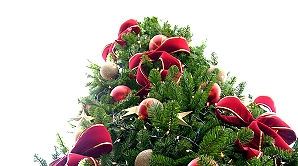 Împodobirea străzilor din Tîrgu-Mureş a costat peste 800.000 de lei