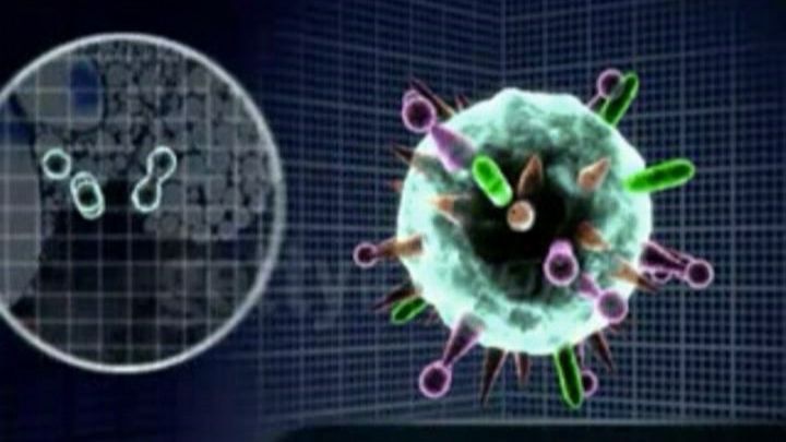 Gripa porcină a devenit subiectul unor conspiraţii