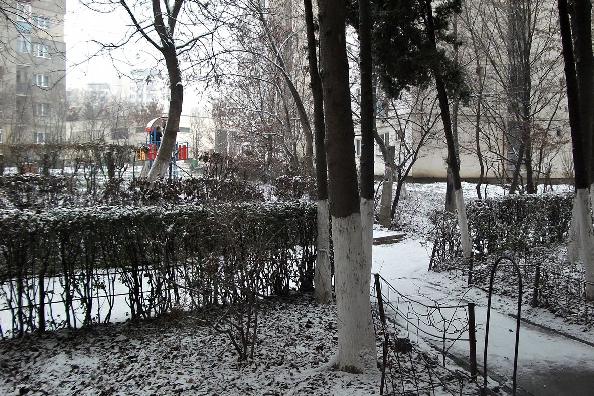 Prima ninsoare din Cluj-Napoca