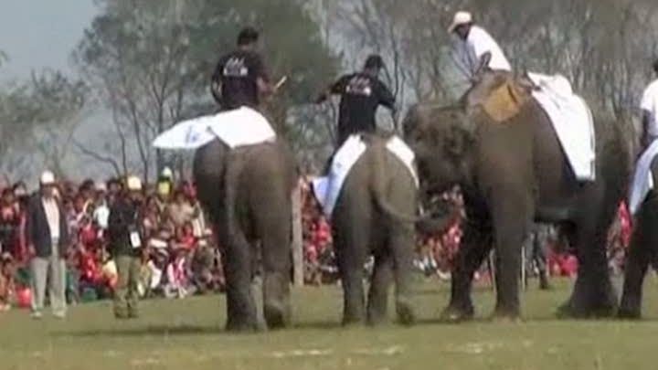 Elefanţii joacă sporturi de echipă la Katmandu, în Nepal 