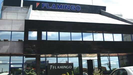Flamingo cere intrarea în insolvenţă. ING îi execută marfa din magazine 
