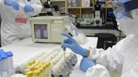 Încă două persoane infectate cu virusul AH1N1 au decedat în România