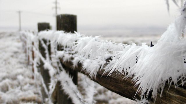 Temperaturi de minus 17 grade în Miercurea Ciuc