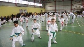 Copiii din grădiniţele sibiene sunt pasionaţi de arte marţiale
