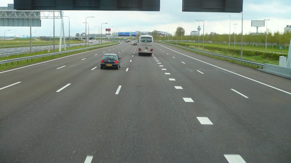 Autostrada Transilvania, traversată de oi, câini, vulpi şi autostopişti