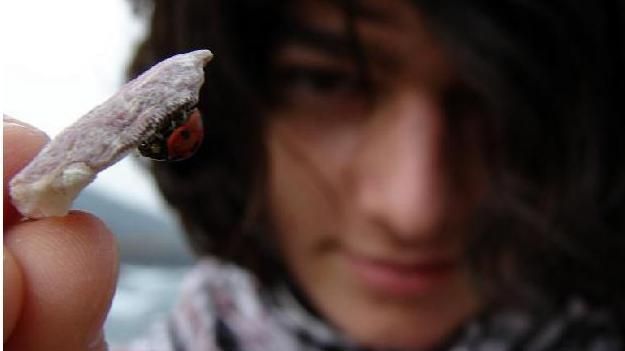 Alegerile nu aduc schimbare în România, crede olimpicul internaţional la Astronomie şi Astrofizică