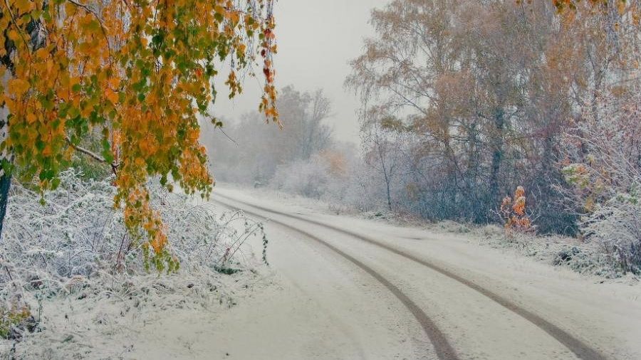 Sute de maşini, blocate între Urziceni şi Buzău din cauza zăpezii