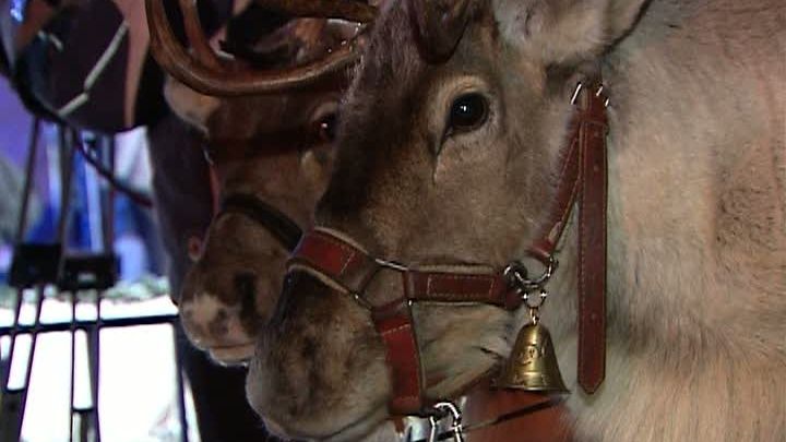 Renii lui Moş Crăciun au poposit în parcul Herăstrău