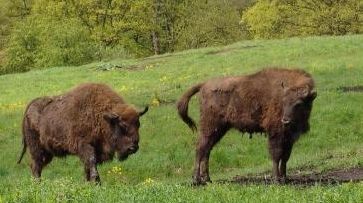 Ministerul Mediului dă o nouă lovitură ariilor protejate