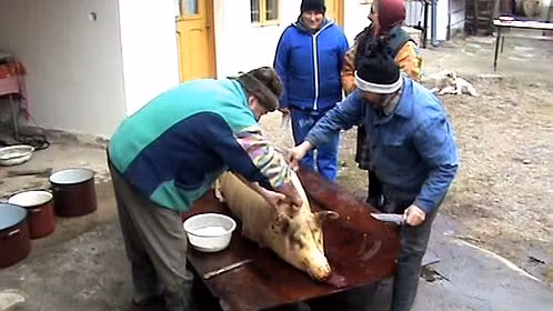 Băcăuanii taie porcul după tradiţie fără să respecte normele Uniunii Europene