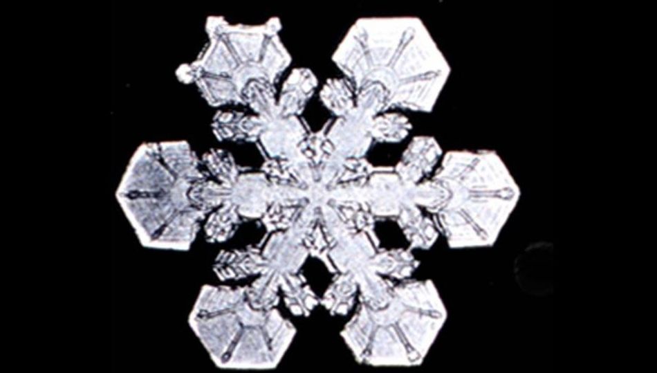 Fulgii de zăpadă de pe felicitările de sărbători sunt desenaţi greşit