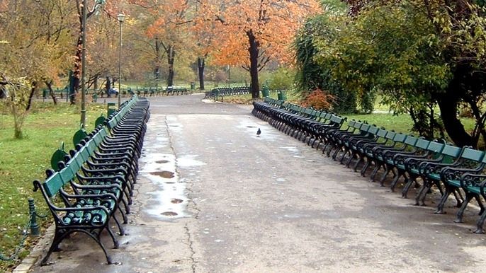 PROGNOZA METEO DE ALEGERI