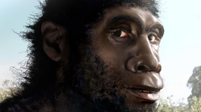 Reconstrucţiile 3D ne aduc strămoşii la viaţă