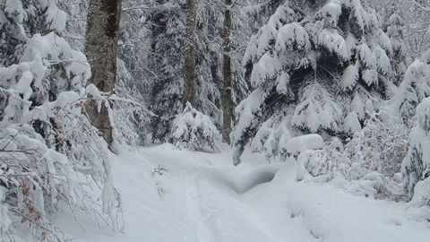 Accesul în staţiunea Rânca se face doar pe un singur sens al drumului