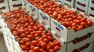 De ce nu mai au gust roșiile românești? Un specialist distruge mitul: nu are legătură cu îngrășămintele 